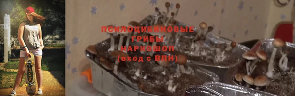 крисы Горнозаводск
