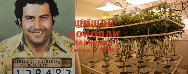 крисы Горнозаводск