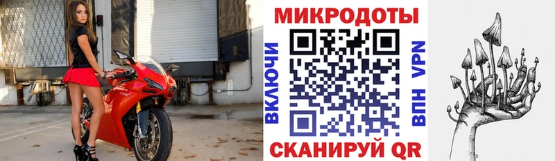 Галлюциногенные грибы Psilocybine cubensis  Давлеканово 